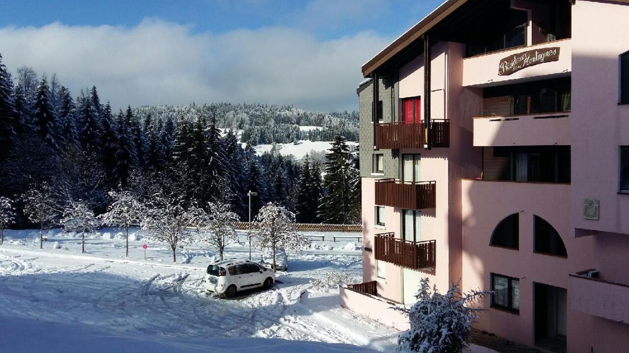 Appartement dernier étage au pied des pistes HIRMENTAZ Bellevaux Esterno foto